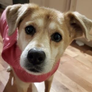 Meet your Posher, Amy